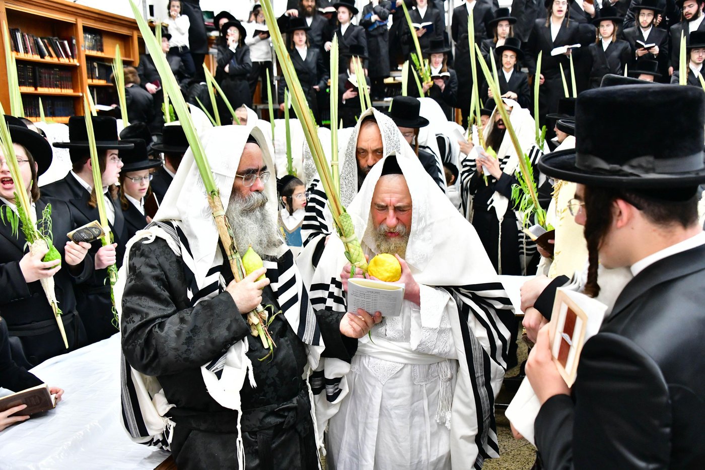 הושענא רבה בחצר הקודש רחמסטריווקא | צילום: שוקי לרר