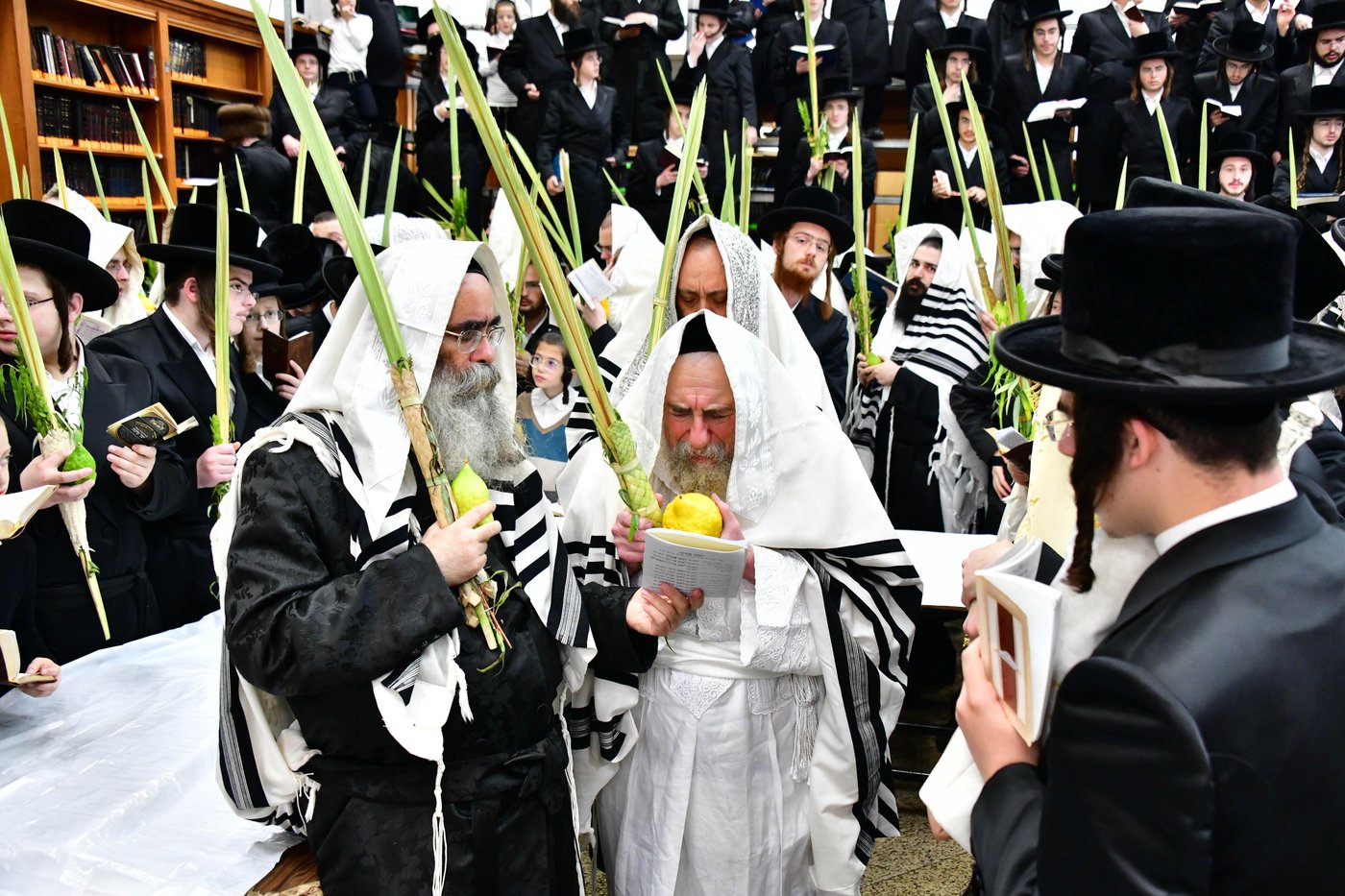 הושענא רבה בחצר הקודש רחמסטריווקא | צילום: שוקי לרר