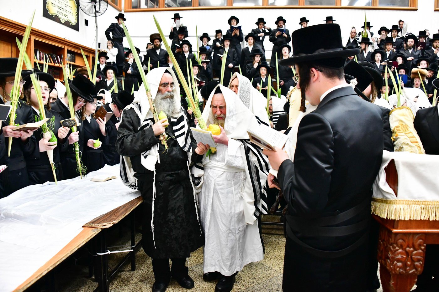 הושענא רבה בחצר הקודש רחמסטריווקא | צילום: שוקי לרר