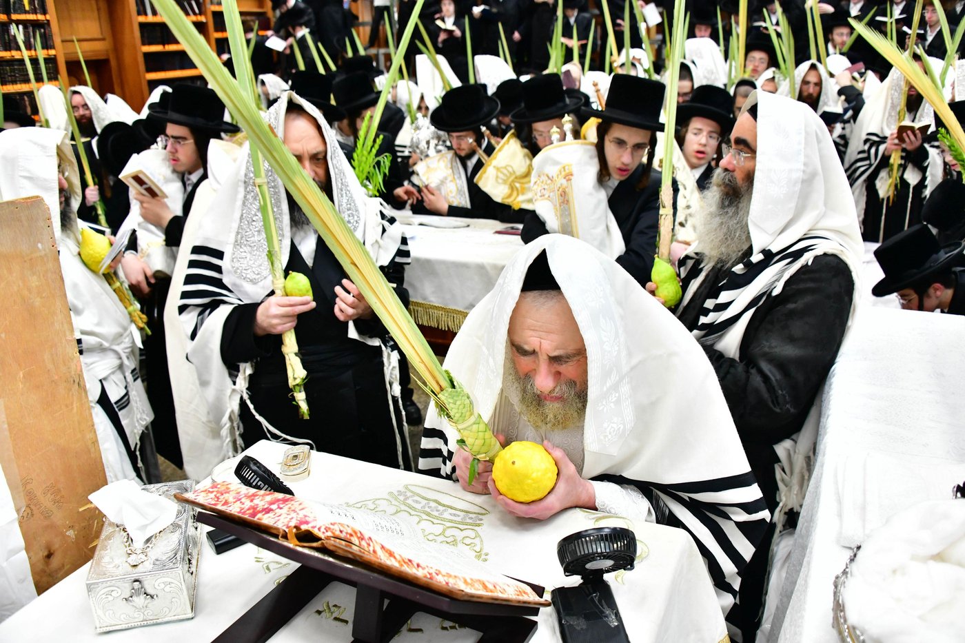 הושענא רבה בחצר הקודש רחמסטריווקא | צילום: שוקי לרר