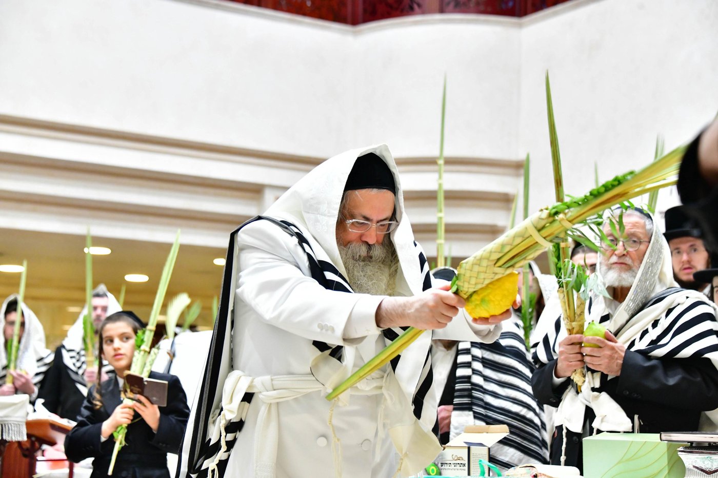 הושענא רבה בחצר הקודש טולנא