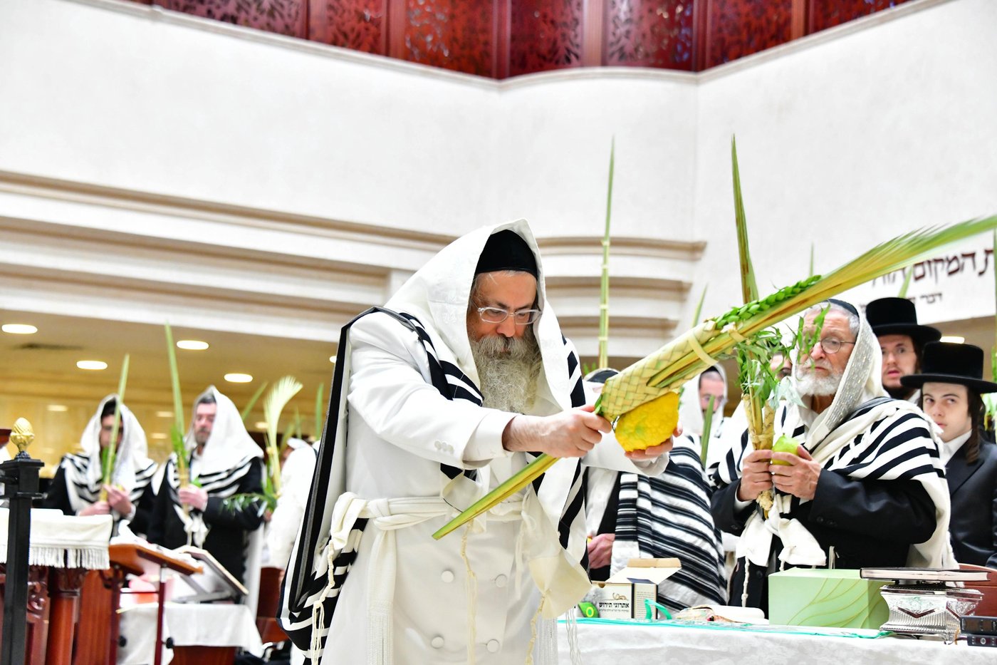 הושענא רבה בחצר הקודש טולנא