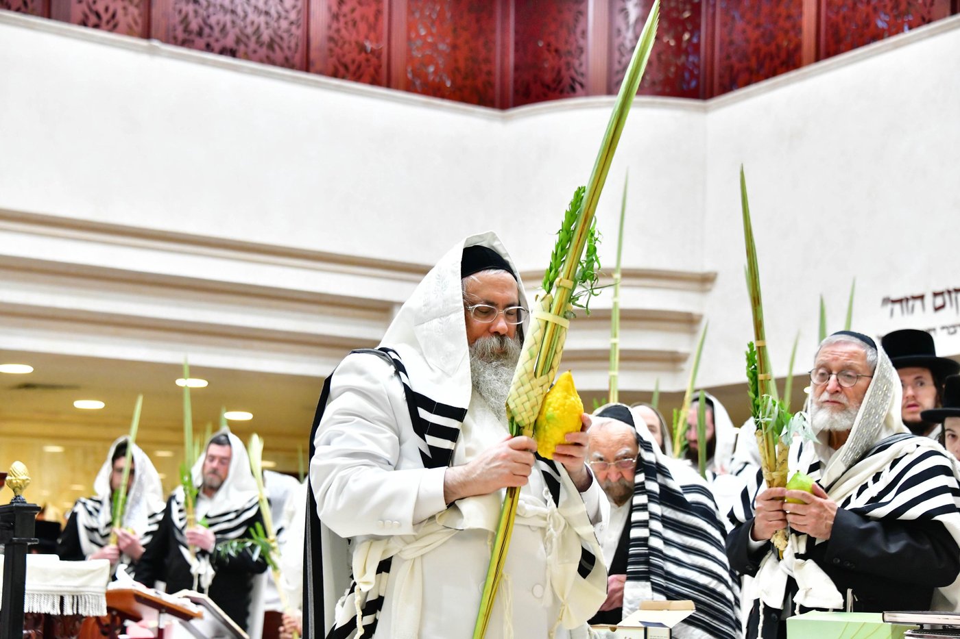 הושענא רבה בחצר הקודש טולנא