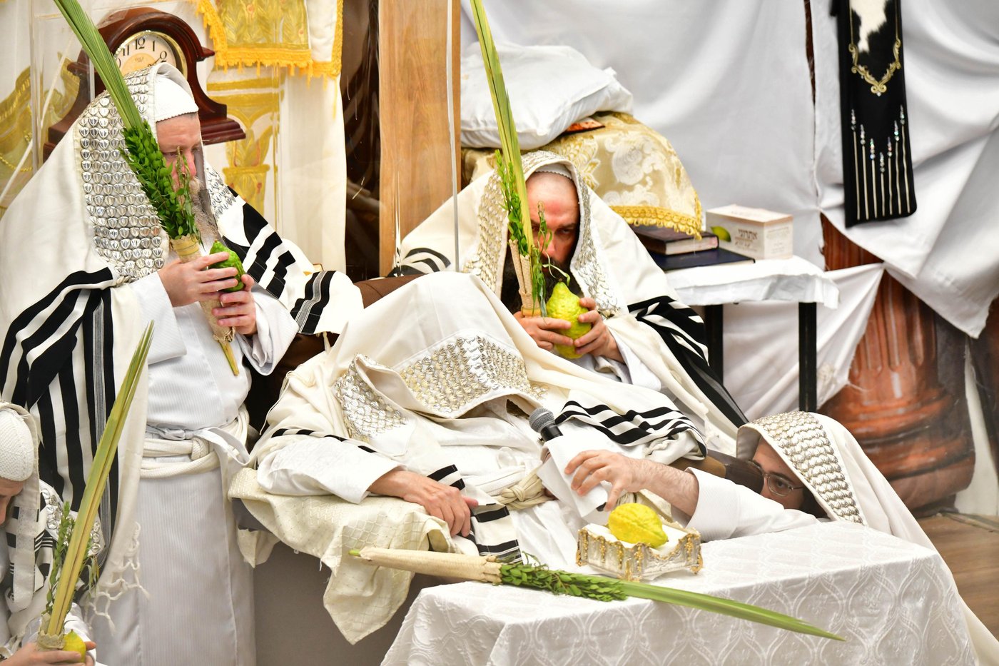 הושענא רבה בחצר הקודש תולדות אברהם יצחק | צילום: שוקי לרר