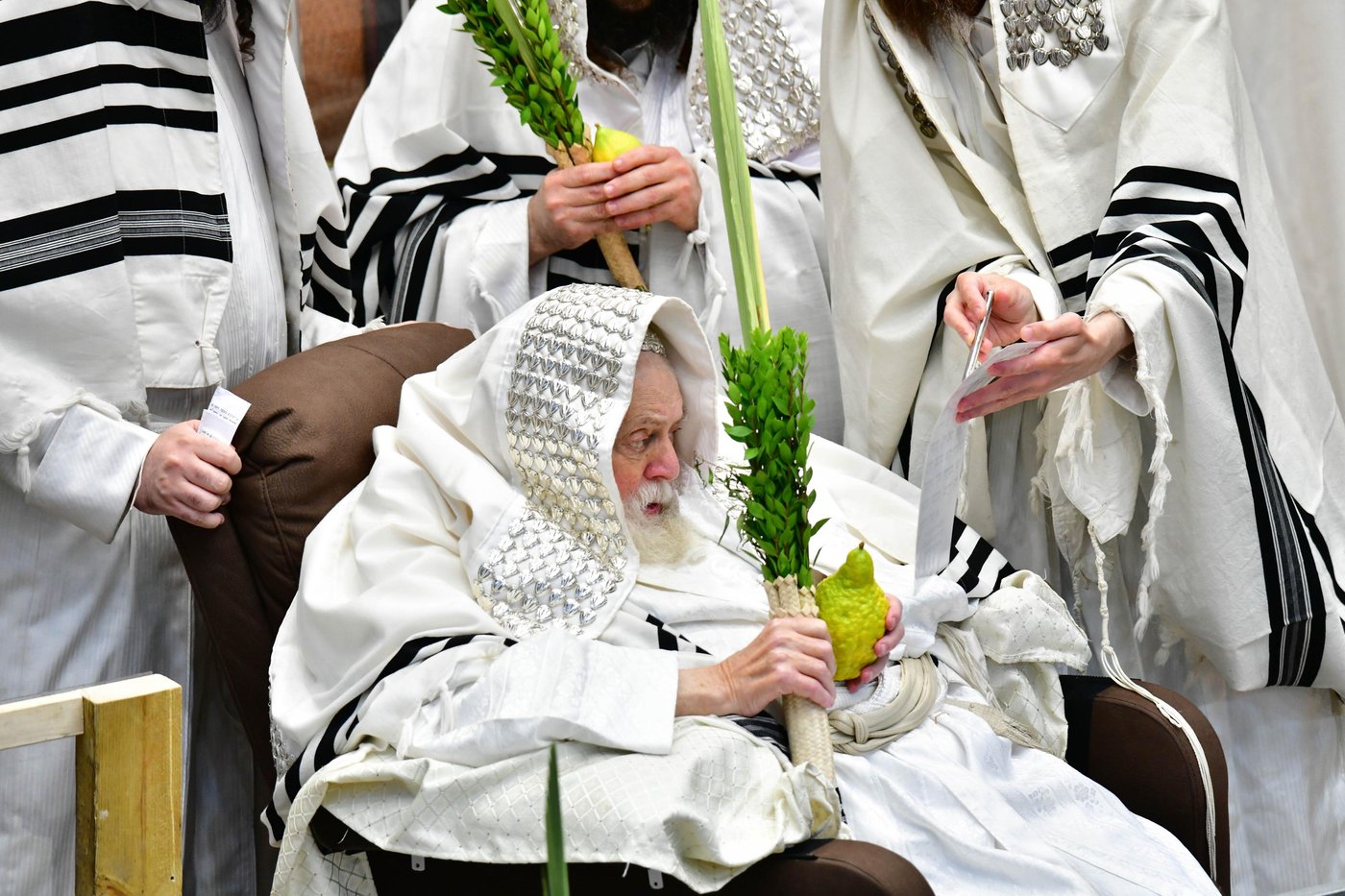 הושענא רבה בחצר הקודש תולדות אברהם יצחק | צילום: שוקי לרר