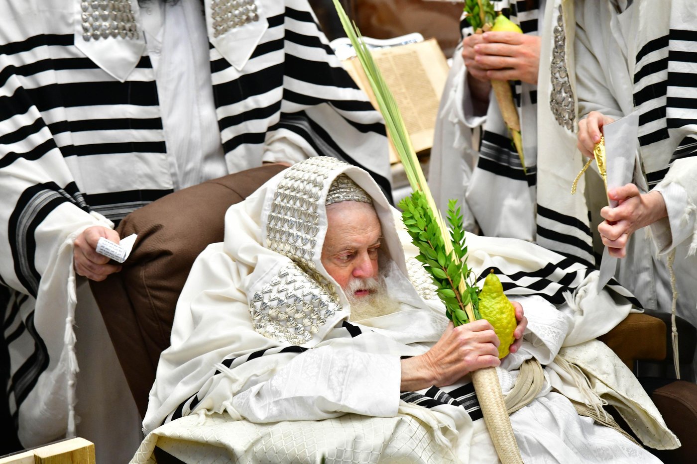 הושענא רבה בחצר הקודש תולדות אברהם יצחק | צילום: שוקי לרר