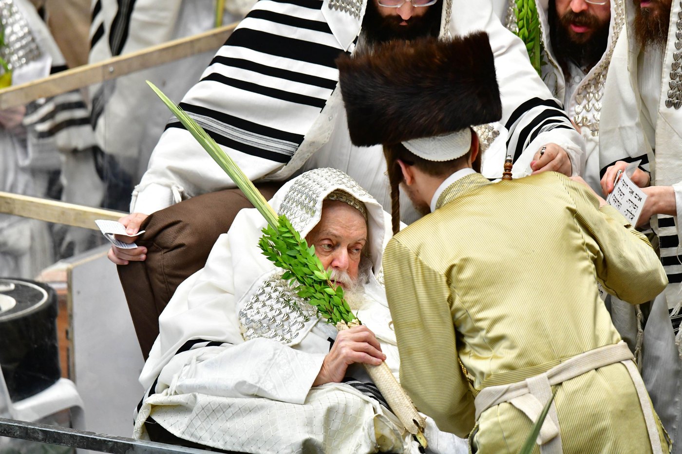 הושענא רבה בחצר הקודש תולדות אברהם יצחק | צילום: שוקי לרר