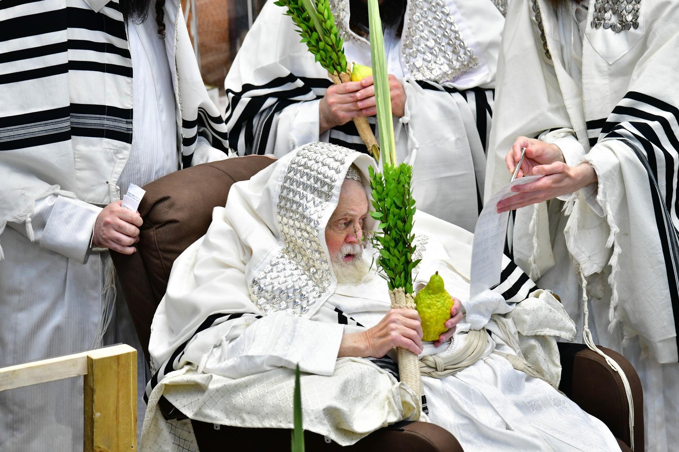 הושענא רבה בחצר הקודש תולדות אברהם יצחק | צילום: שוקי לרר