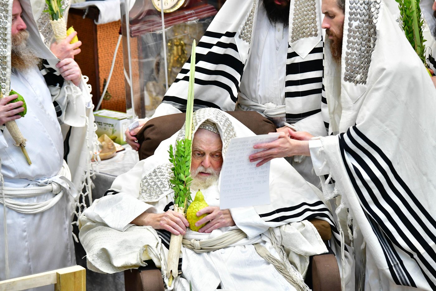 הושענא רבה בחצר הקודש תולדות אברהם יצחק | צילום: שוקי לרר
