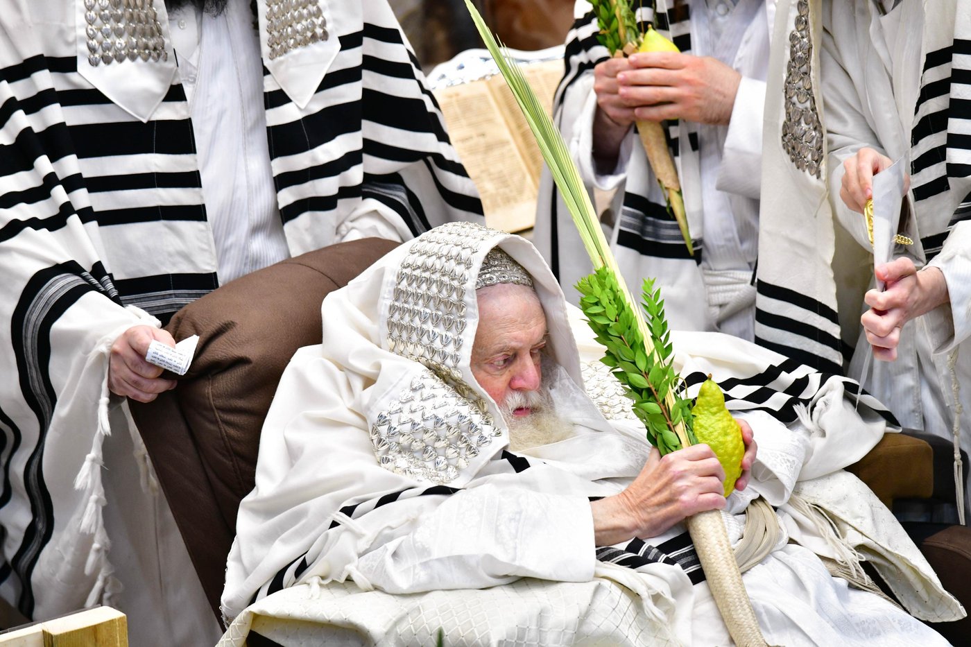 הושענא רבה בחצר הקודש תולדות אברהם יצחק | צילום: שוקי לרר