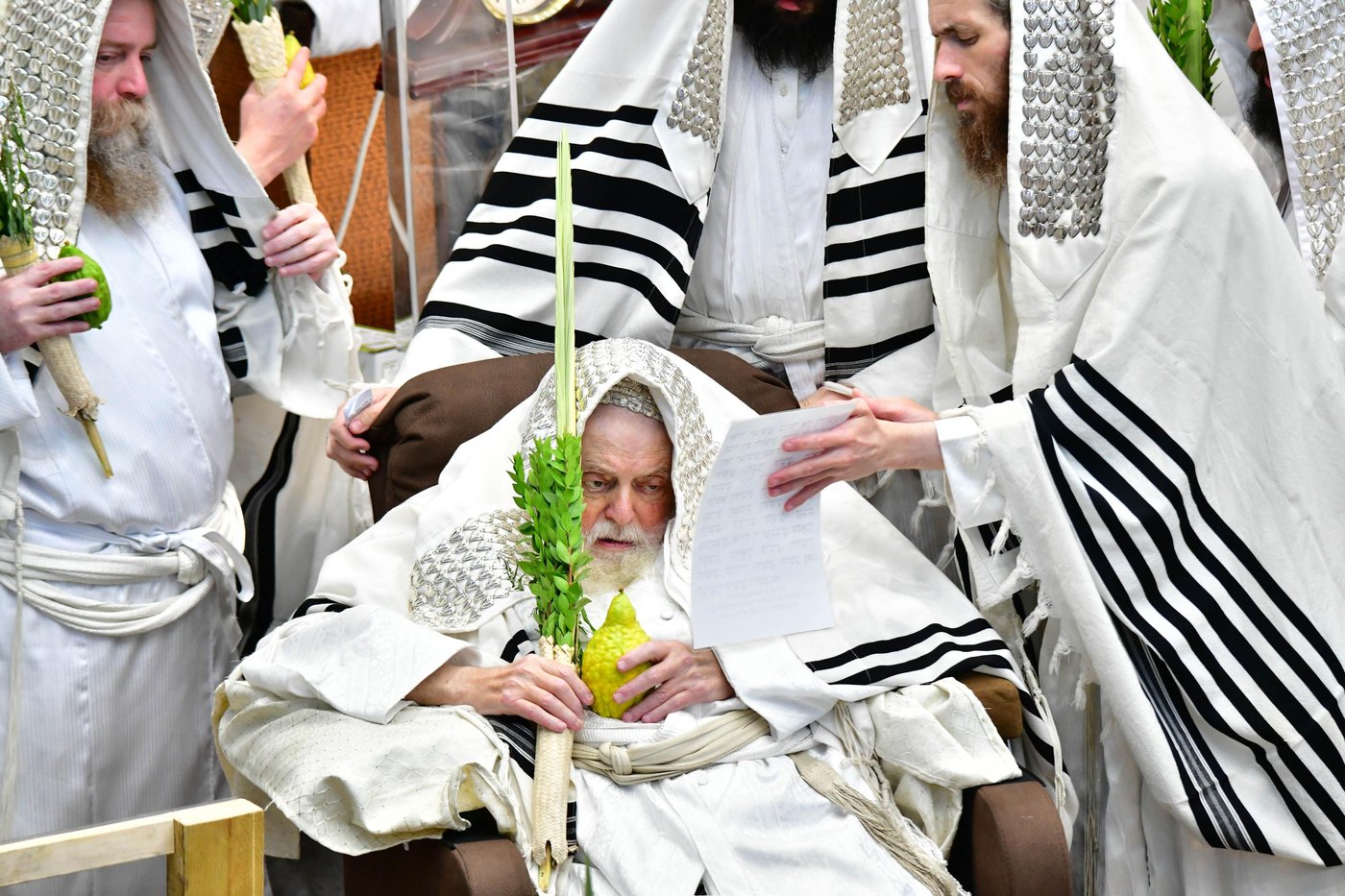 הושענא רבה בחצר הקודש תולדות אברהם יצחק | צילום: שוקי לרר