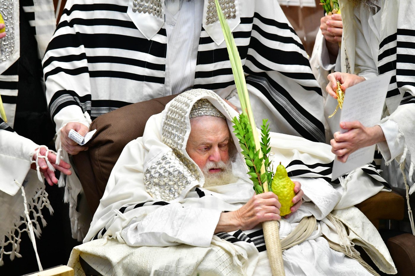 הושענא רבה בחצר הקודש תולדות אברהם יצחק | צילום: שוקי לרר