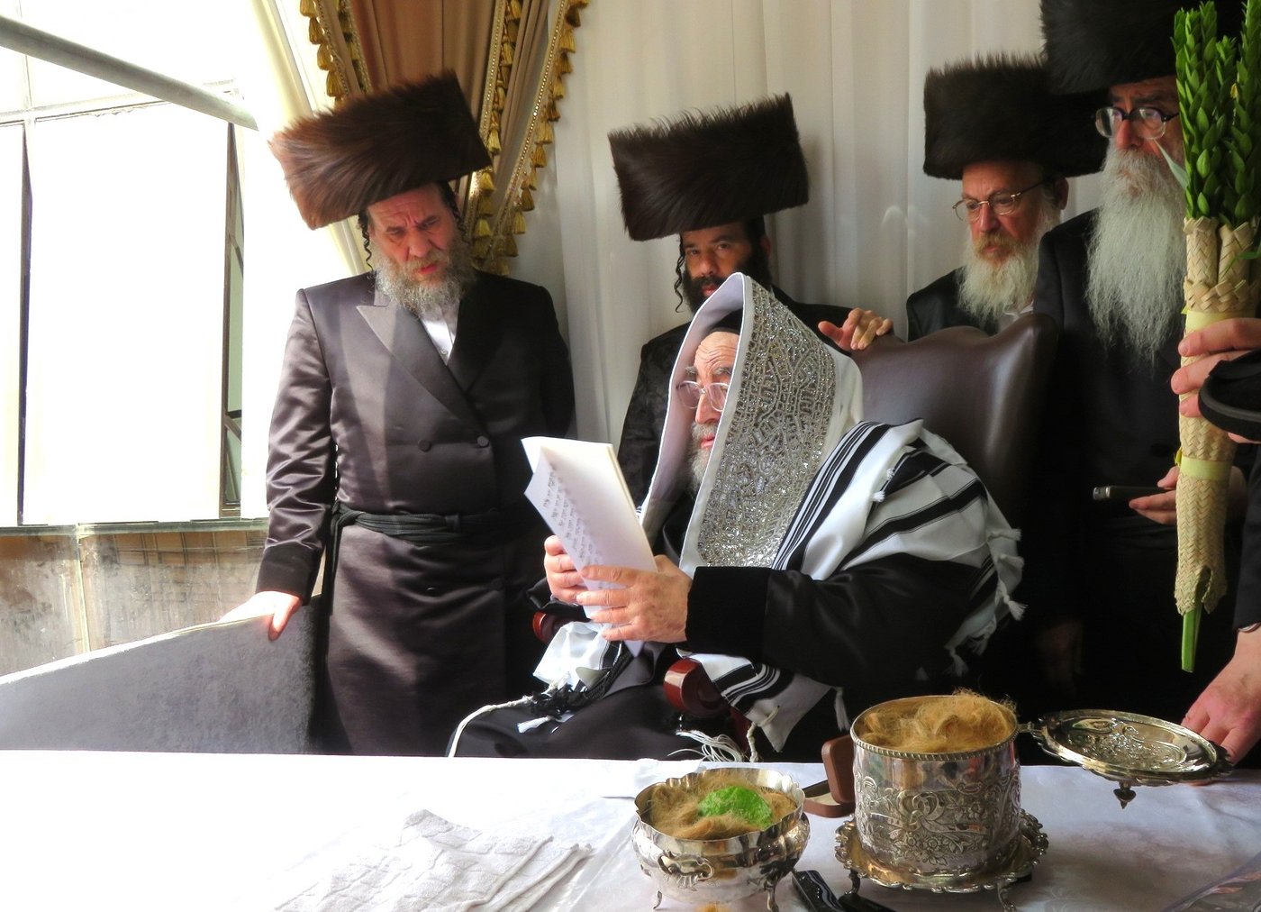 האדמו"ר מויז'ניץ שליט"א בעבודת הנענועים | צילום: באדיבות המצלם