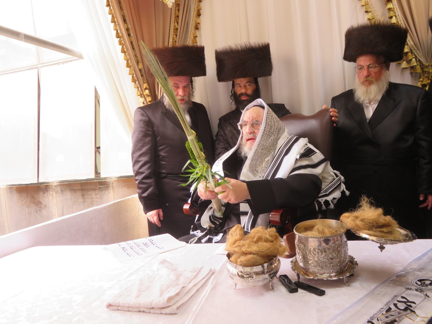 האדמו"ר מויז'ניץ שליט"א בעבודת הנענועים | צילום: באדיבות המצלם