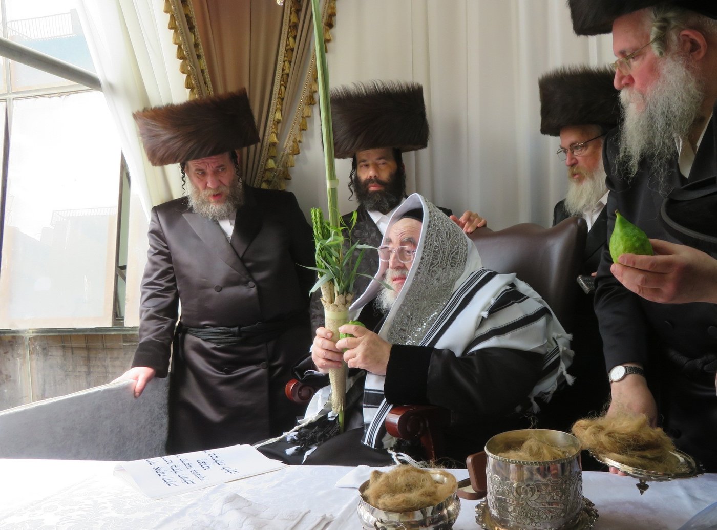 האדמו"ר מויז'ניץ שליט"א בעבודת הנענועים | צילום: באדיבות המצלם