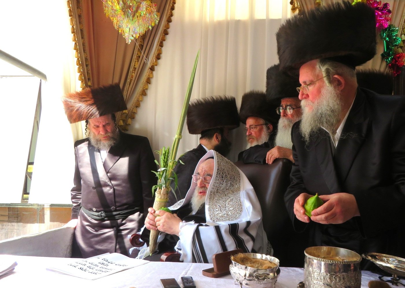 האדמו"ר מויז'ניץ שליט"א בעבודת הנענועים | צילום: באדיבות המצלם
