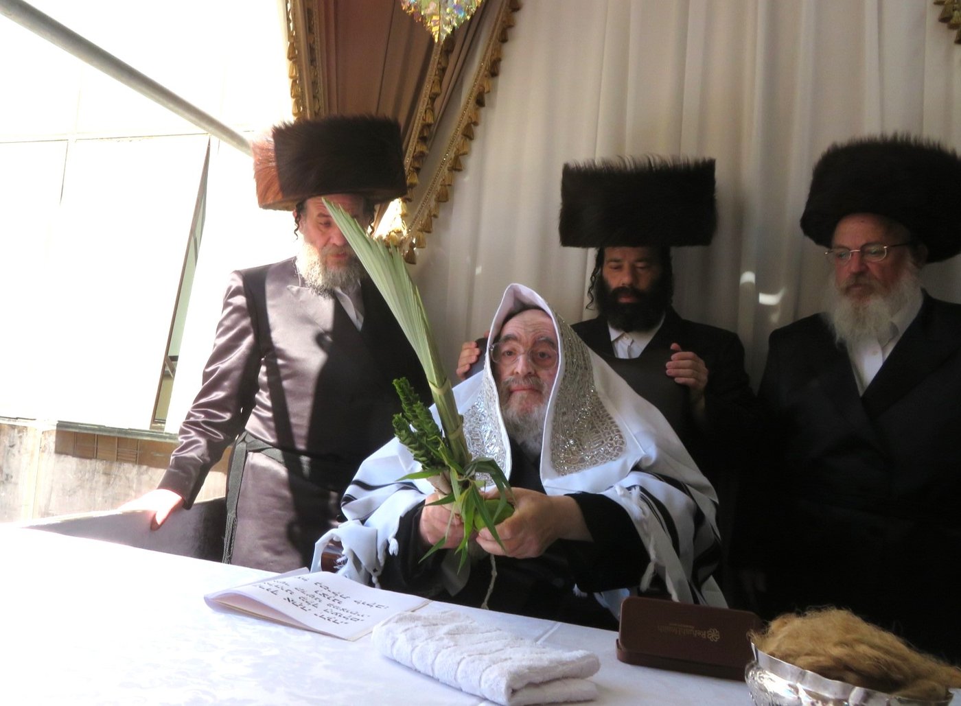 האדמו"ר מויז'ניץ שליט"א בעבודת הנענועים | צילום: באדיבות המצלם