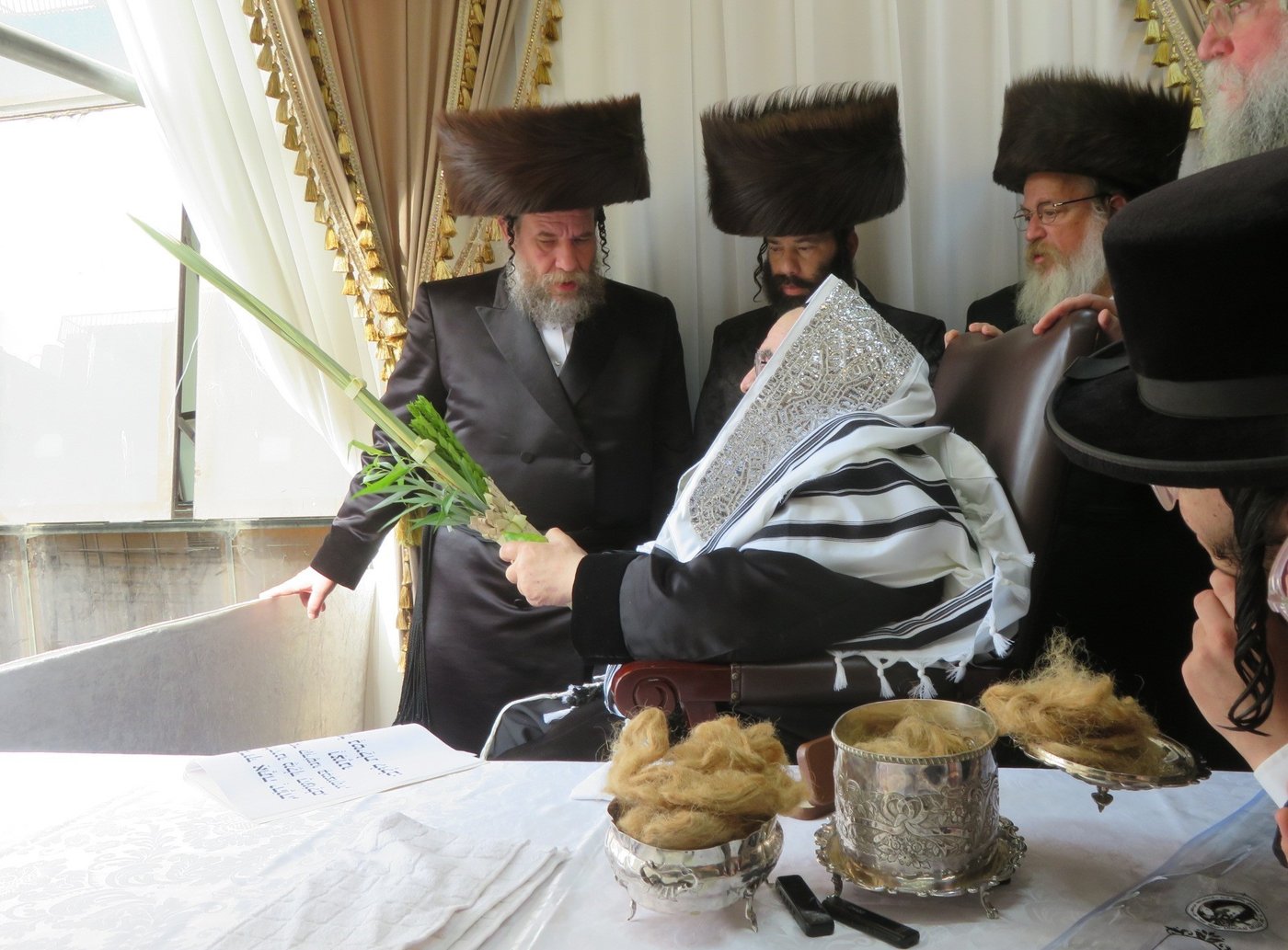 האדמו"ר מויז'ניץ שליט"א בעבודת הנענועים | צילום: באדיבות המצלם