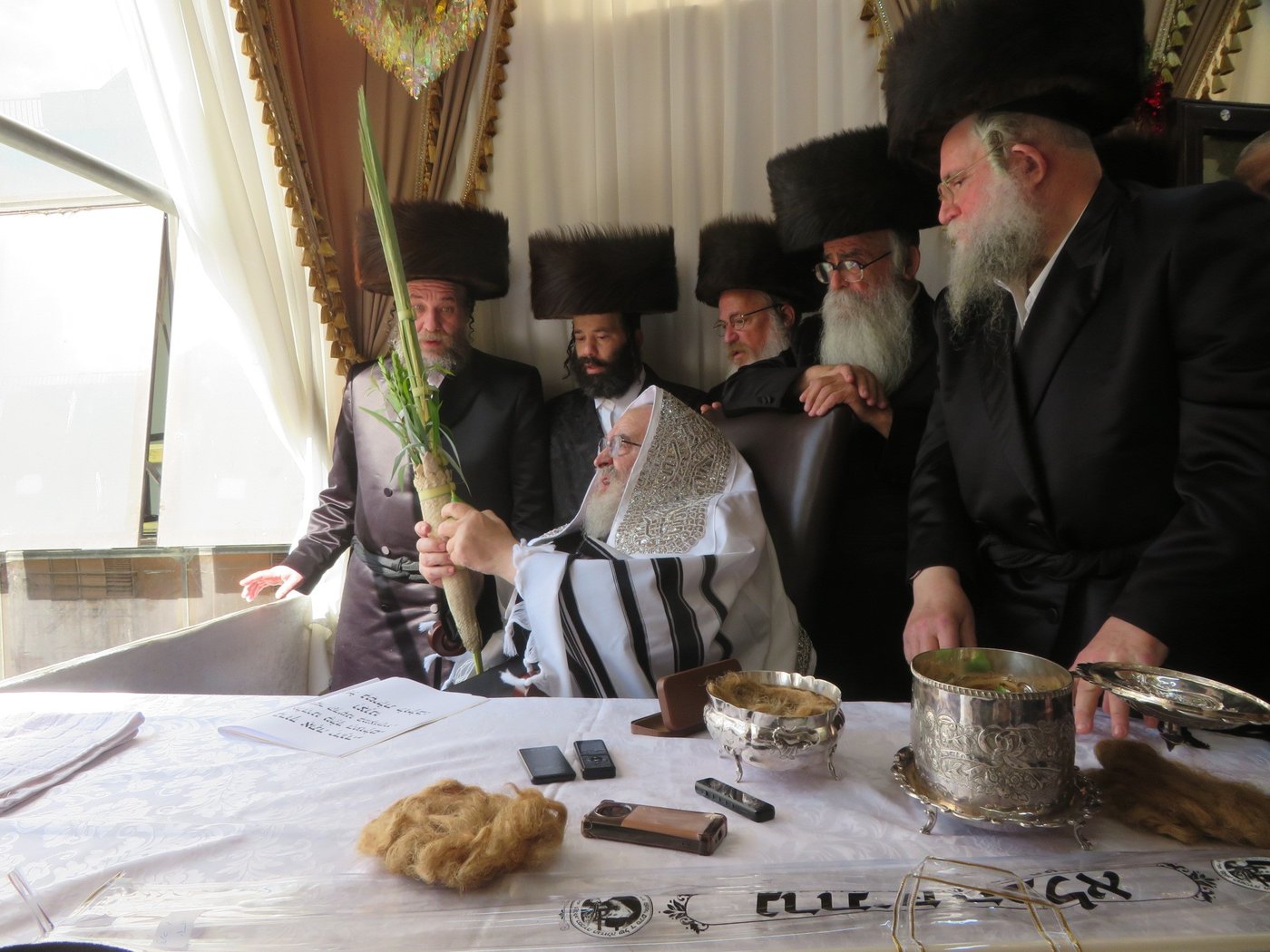 האדמו"ר מויז'ניץ שליט"א בעבודת הנענועים | צילום: באדיבות המצלם