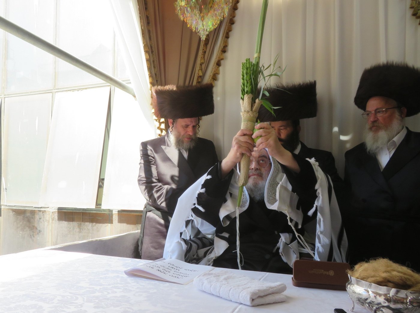 האדמו"ר מויז'ניץ שליט"א בעבודת הנענועים | צילום: באדיבות המצלם