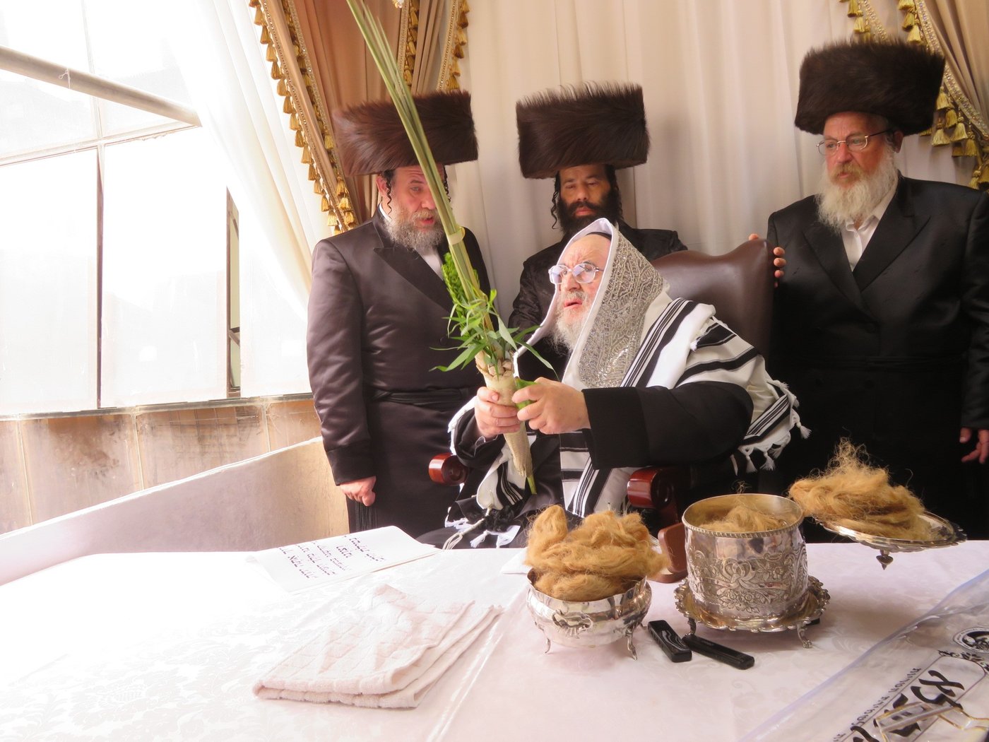 האדמו"ר מויז'ניץ שליט"א בעבודת הנענועים | צילום: באדיבות המצלם
