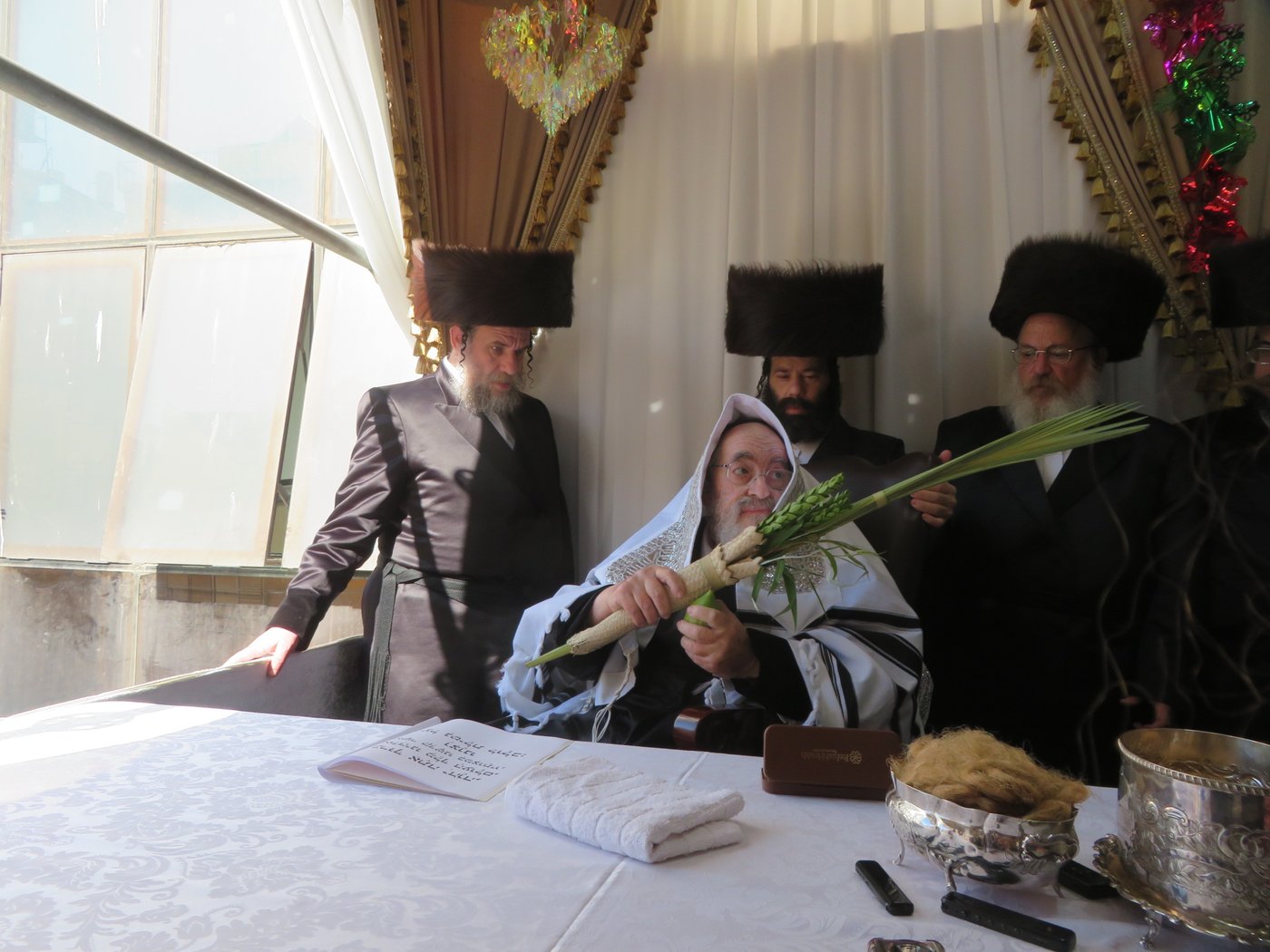 האדמו"ר מויז'ניץ שליט"א בעבודת הנענועים | צילום: באדיבות המצלם