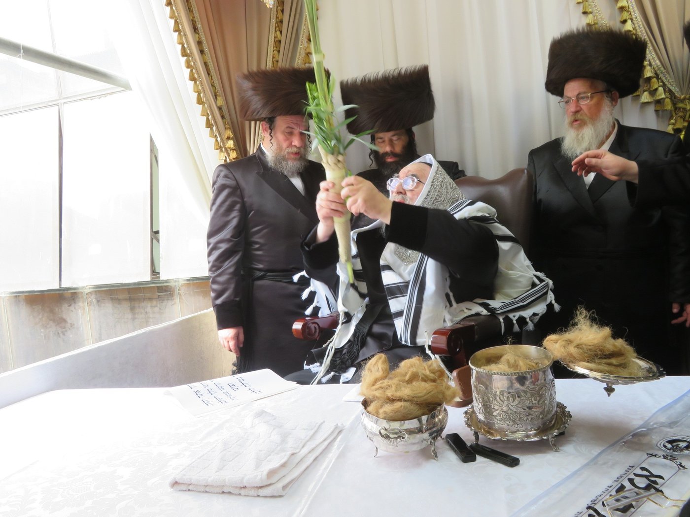 האדמו"ר מויז'ניץ שליט"א בעבודת הנענועים | צילום: באדיבות המצלם
