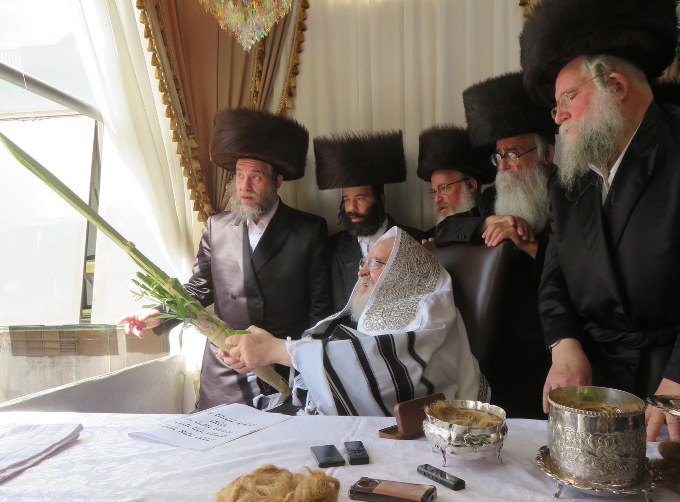 האדמו"ר מויז'ניץ שליט"א בעבודת הנענועים | צילום: באדיבות המצלם