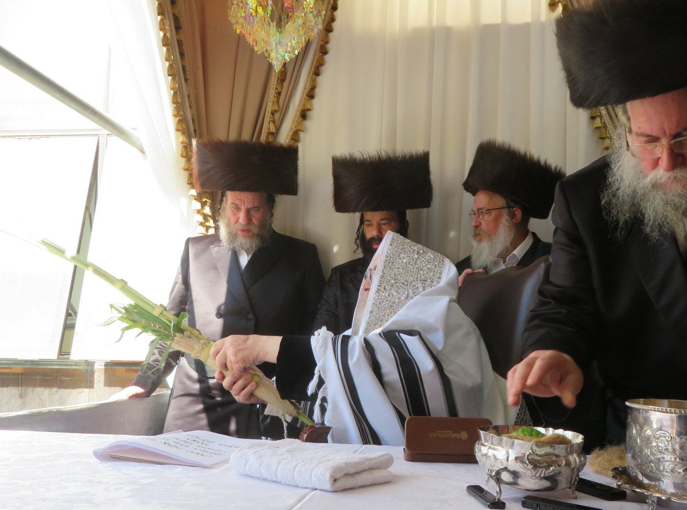 האדמו"ר מויז'ניץ שליט"א בעבודת הנענועים | צילום: באדיבות המצלם