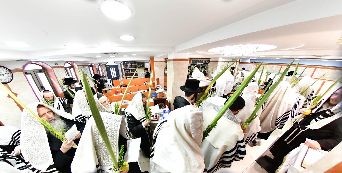 הושענא רבה בחצר קופיטשניץ | צילום: שוקי לרר