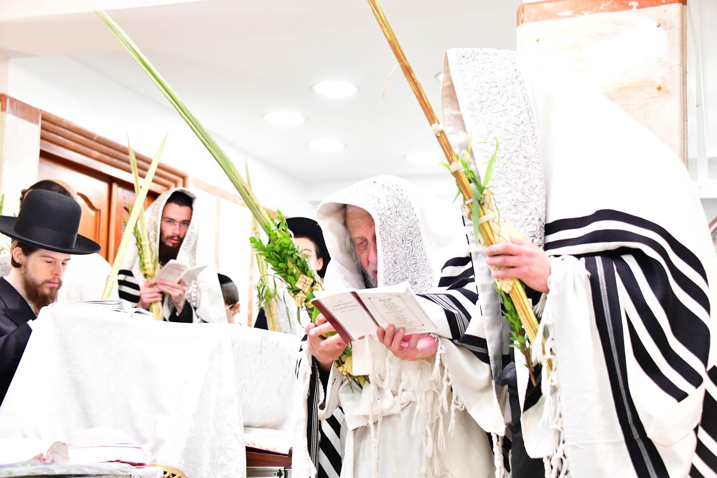 הושענא רבה בחצר קופיטשניץ | צילום: שוקי לרר