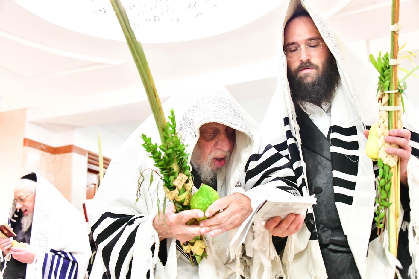 הושענא רבה בחצר קופיטשניץ | צילום: שוקי לרר