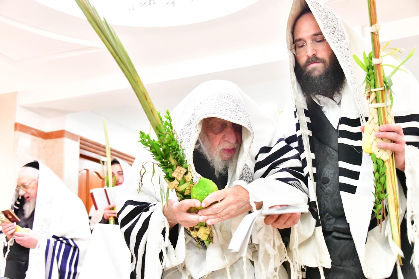 הושענא רבה בחצר קופיטשניץ | צילום: שוקי לרר