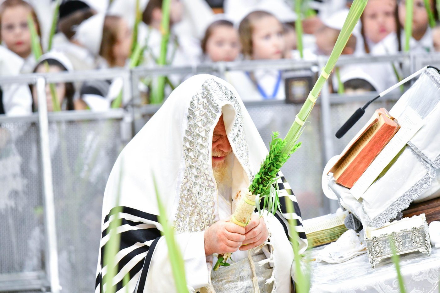 הושענא רבה בחצר הקודש תולדות אהרן | צילום: שוקי לרר