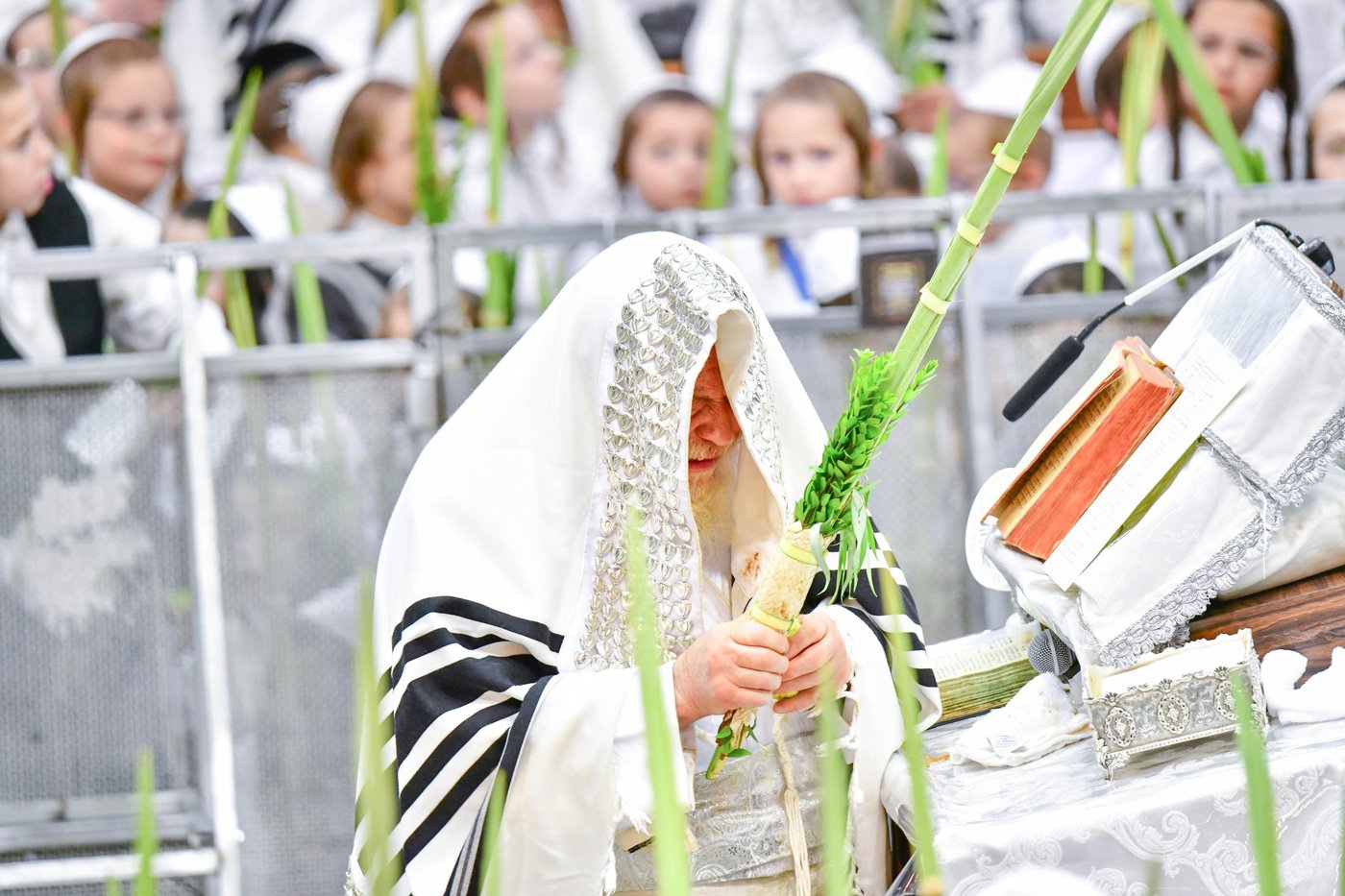 הושענא רבה בחצר הקודש תולדות אהרן | צילום: שוקי לרר