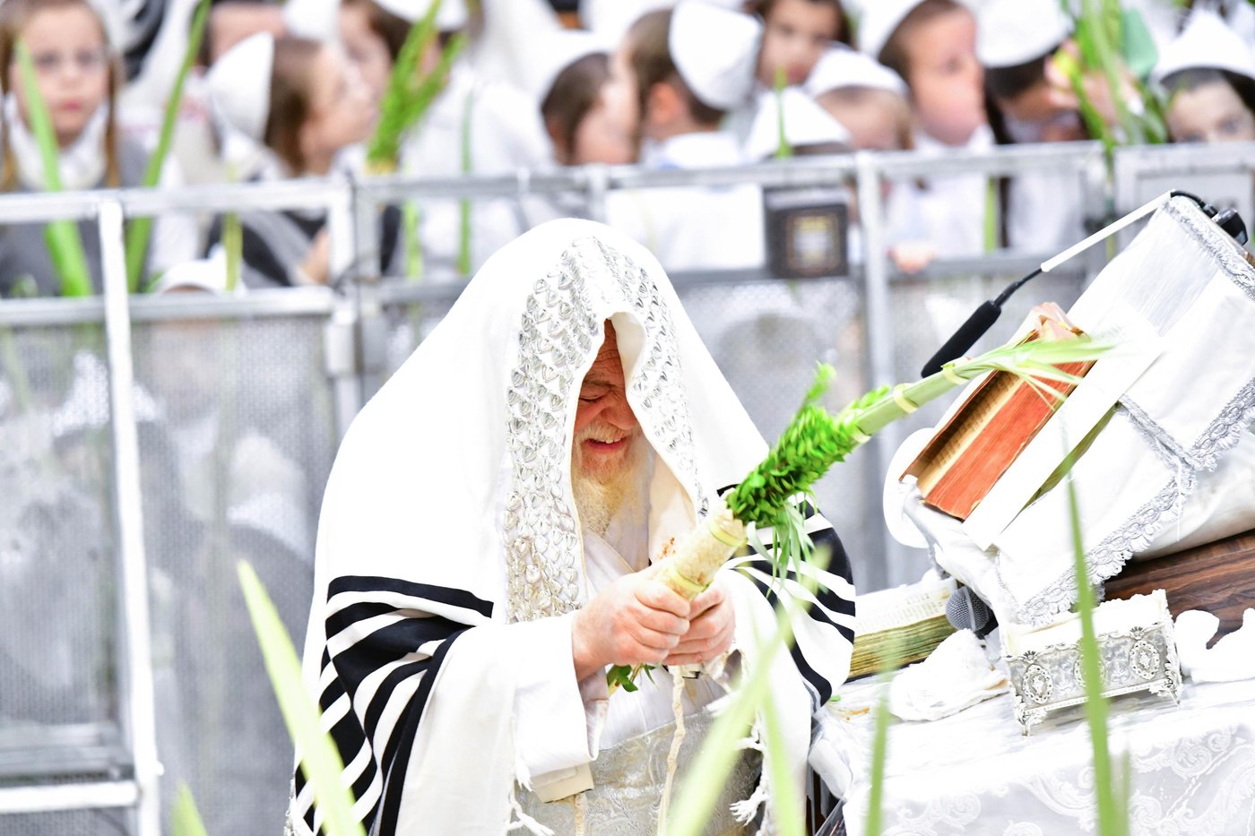 הושענא רבה בחצר הקודש תולדות אהרן | צילום: שוקי לרר