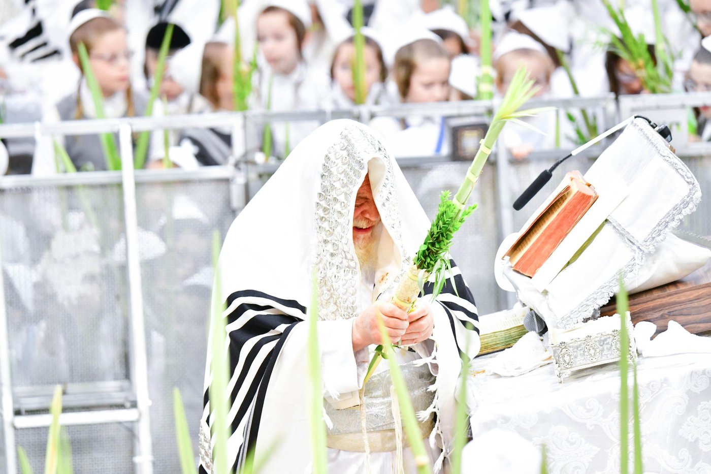 הושענא רבה בחצר הקודש תולדות אהרן | צילום: שוקי לרר