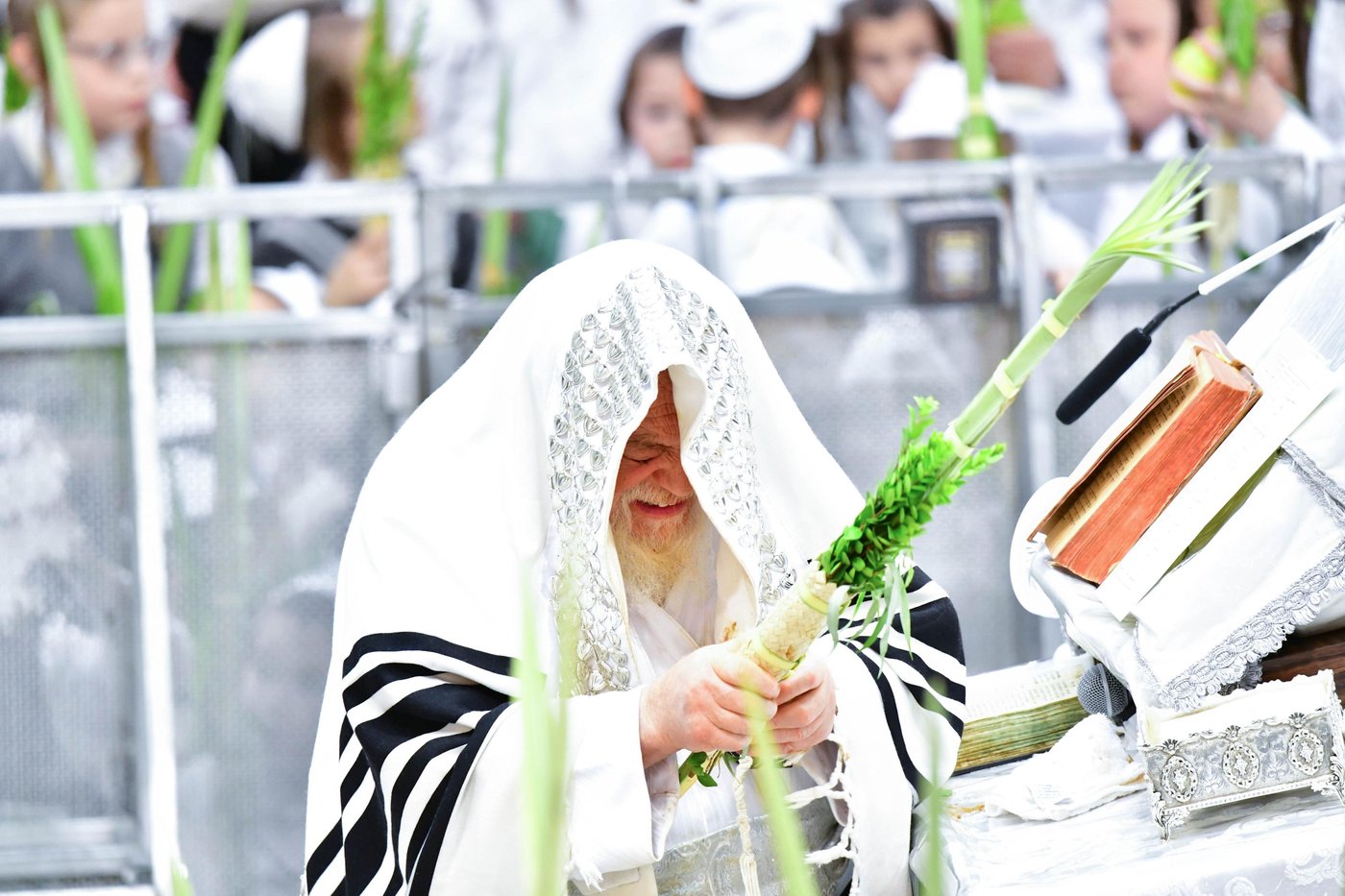 הושענא רבה בחצר הקודש תולדות אהרן | צילום: שוקי לרר