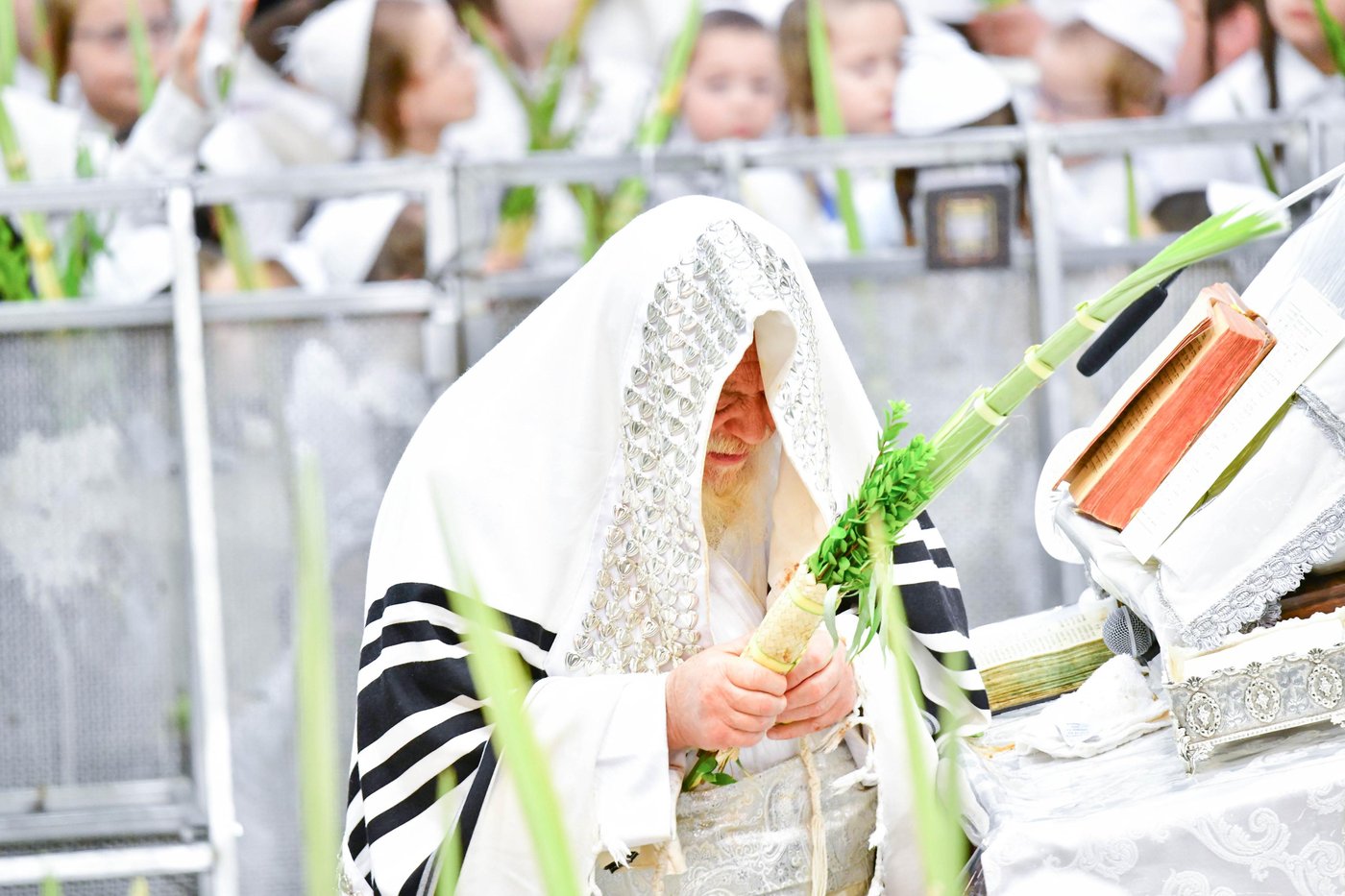 הושענא רבה בחצר הקודש תולדות אהרן | צילום: שוקי לרר