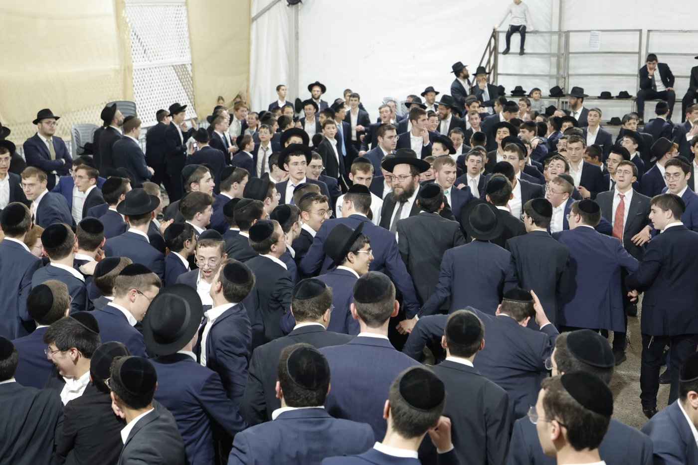 שמחת בית השואבה בברכת שמואל | צילום: שמוליק קורלנסקי
