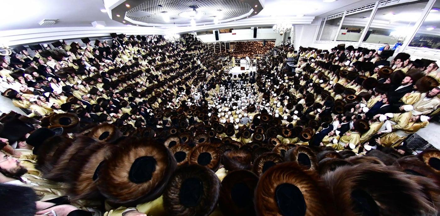 הקפות שניות בחצר הקודש תולדות אהרן | צילום: שוקי לרר