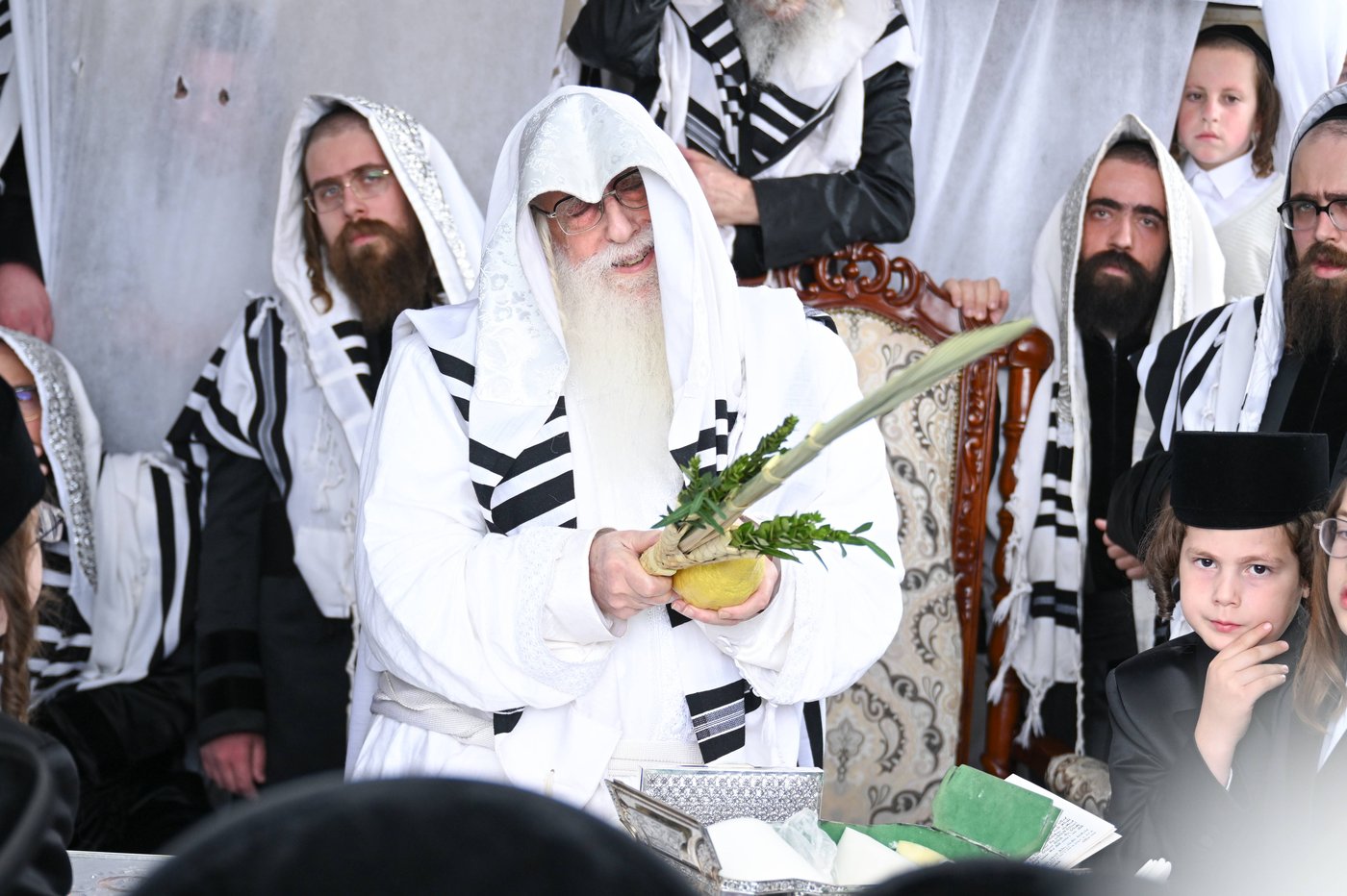 הושענא רבה בחצר הקודש צאנז