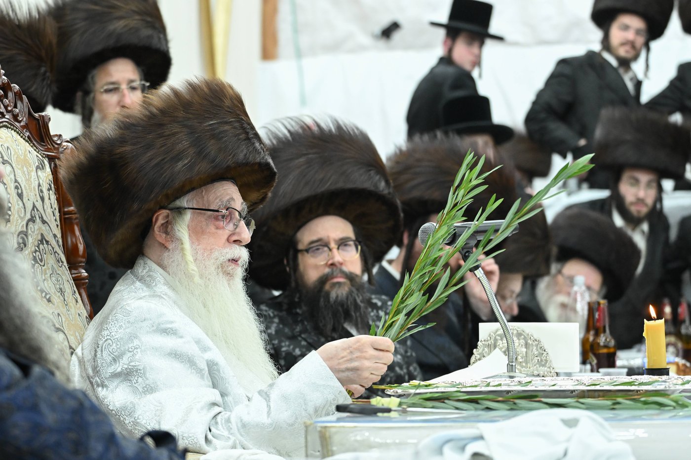 הושענא רבה בחצר הקודש צאנז