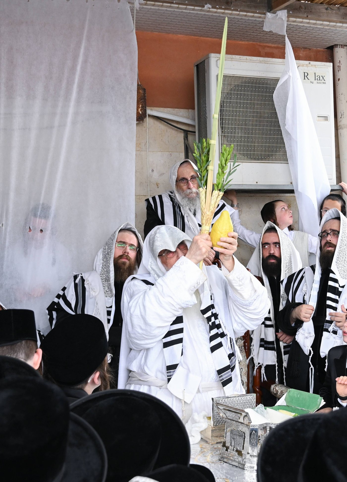 הושענא רבה בחצר הקודש צאנז