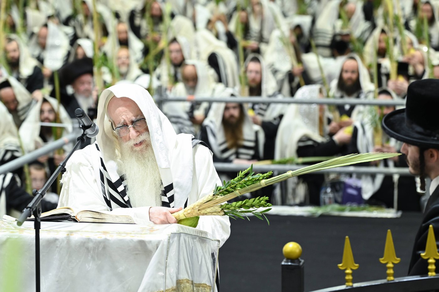 הושענא רבה בחצר הקודש צאנז