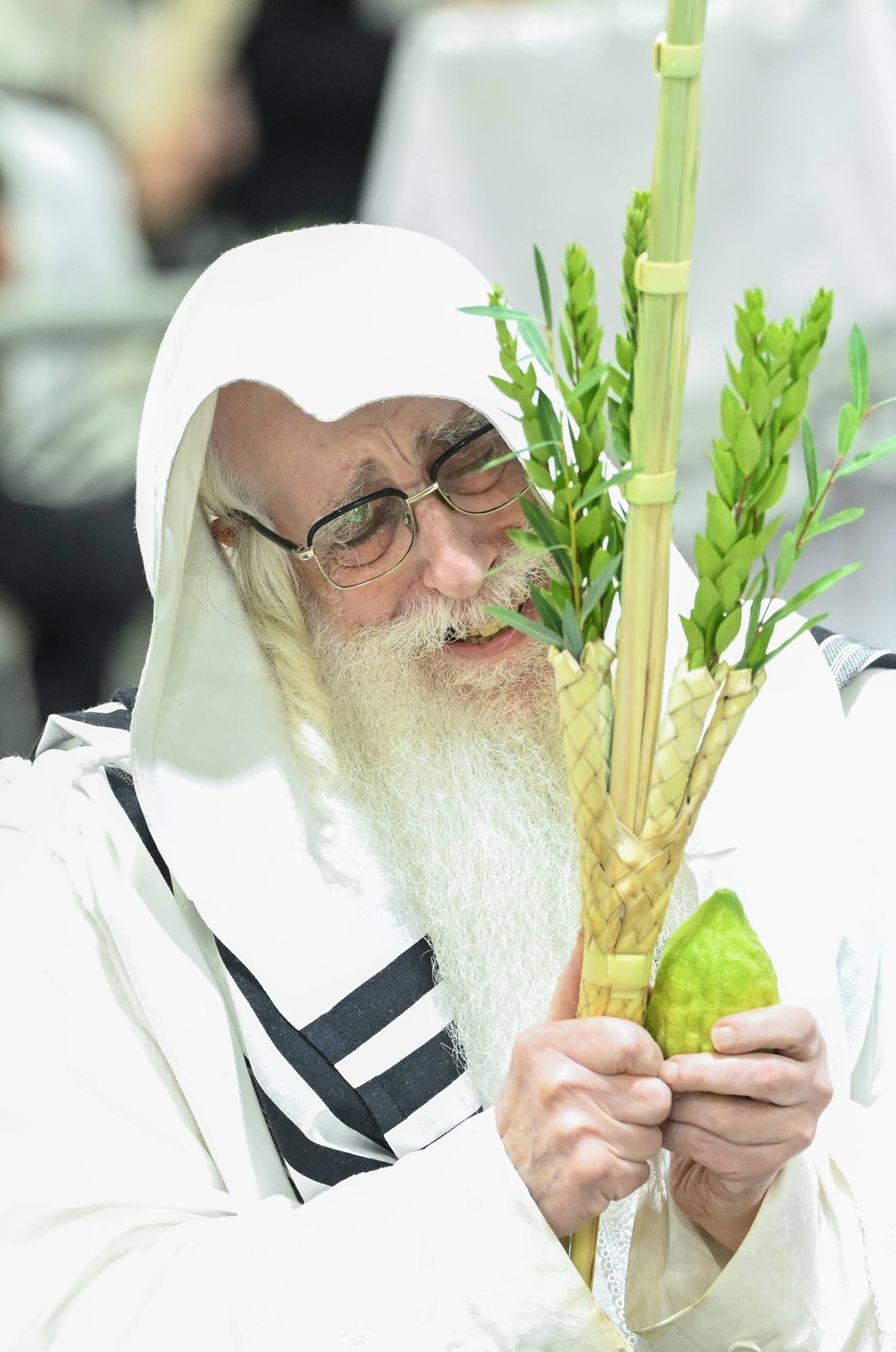 הושענא רבה בחצר הקודש צאנז