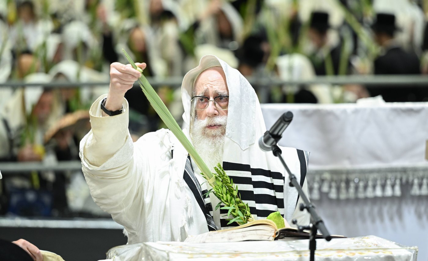 הושענא רבה בחצר הקודש צאנז
