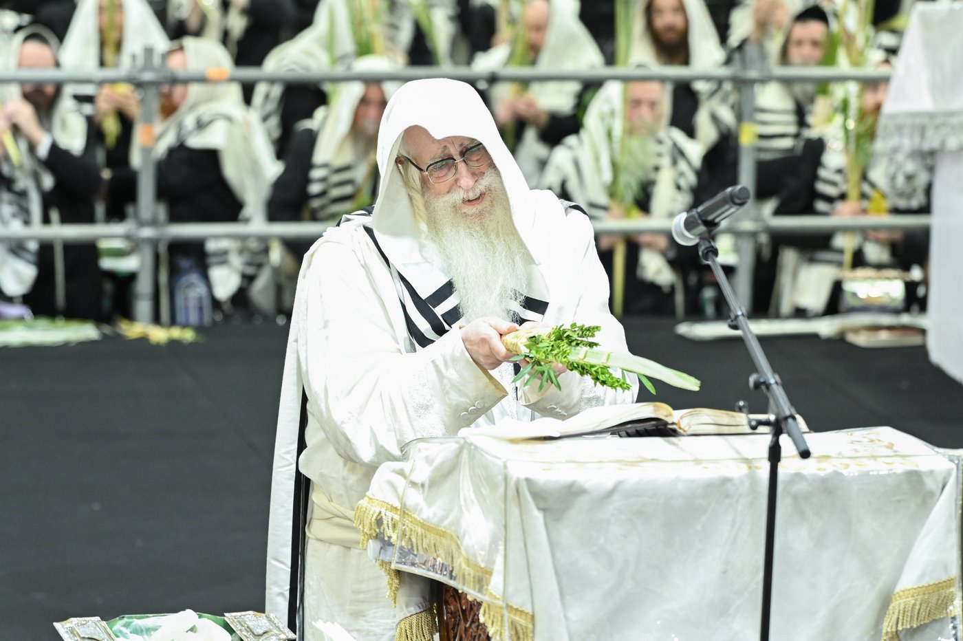 הושענא רבה בחצר הקודש צאנז