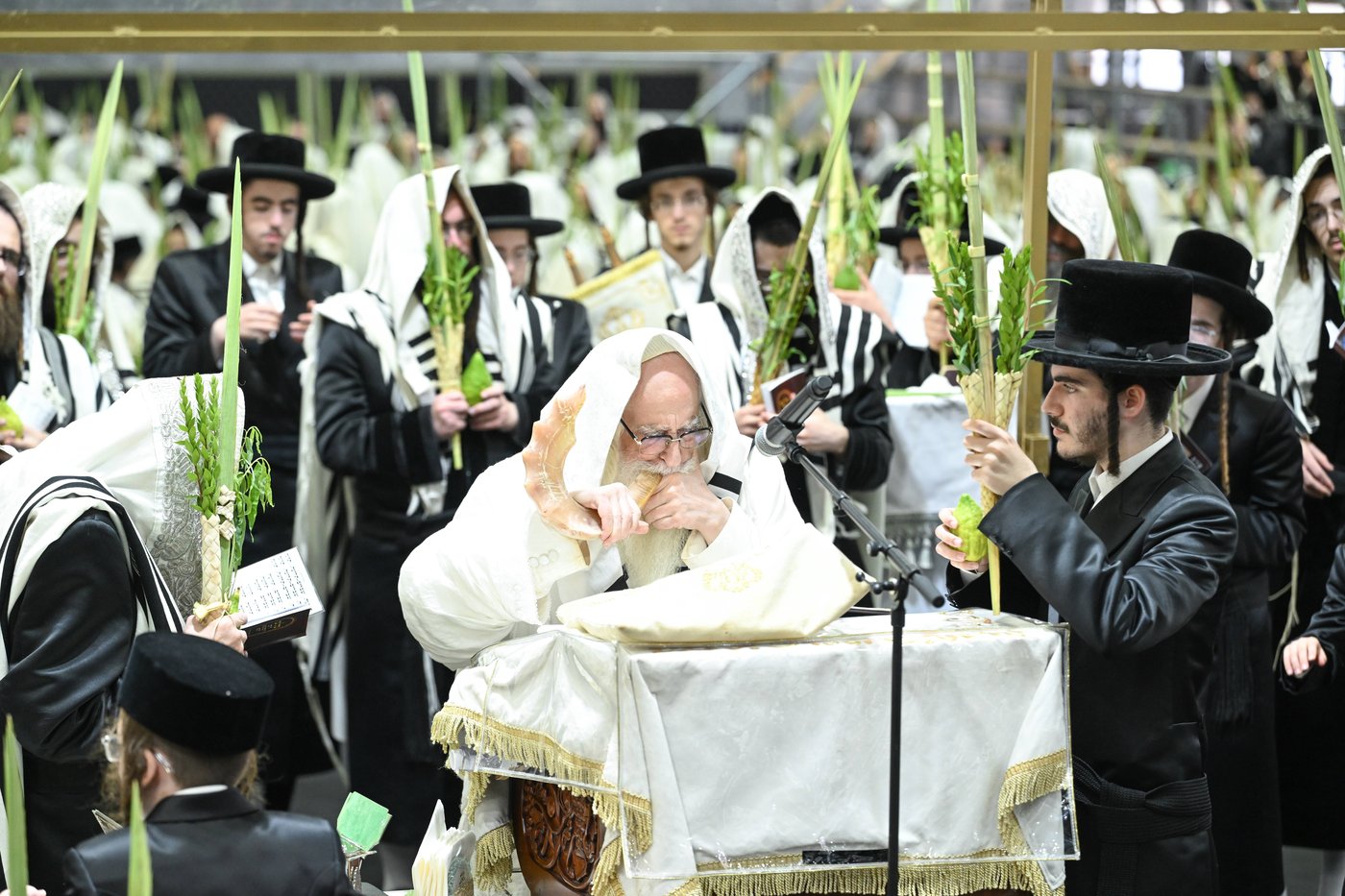 הושענא רבה בחצר הקודש צאנז