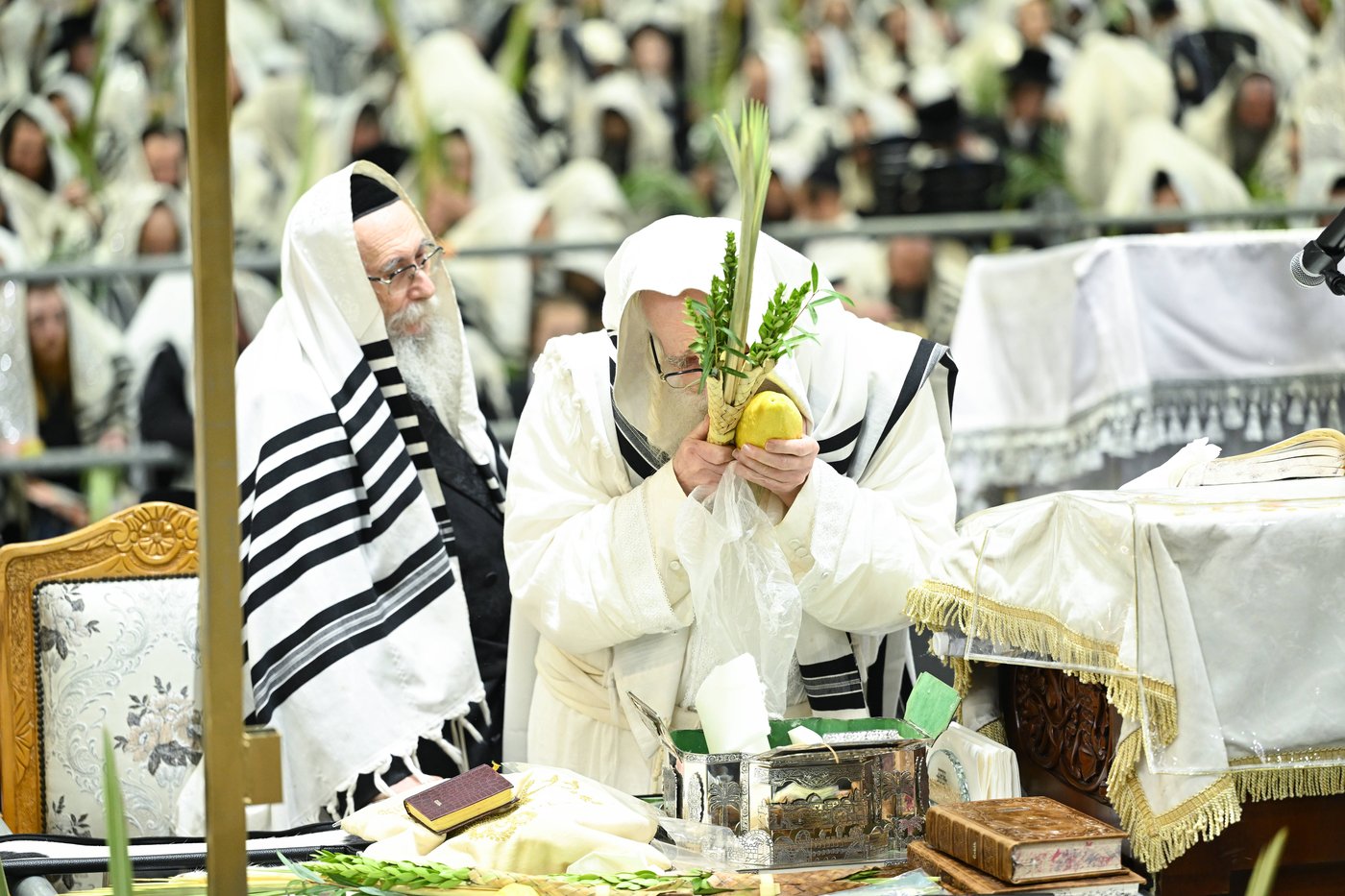 הושענא רבה בחצר הקודש צאנז